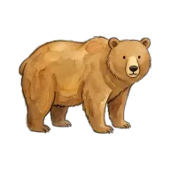 bear