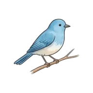 bird