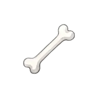 bone