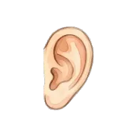 ear