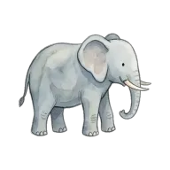 elephant