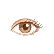 eye
