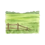 field