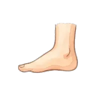 foot