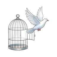 freedom