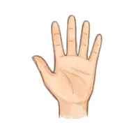 hand