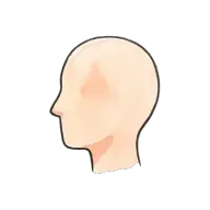 head