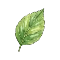 leaf