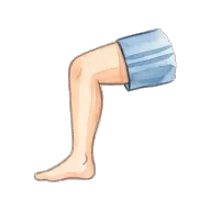 leg