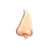 nose