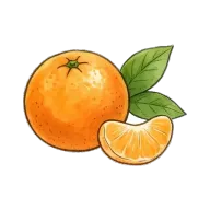 orange (fruit)