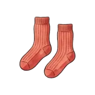pair