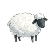 sheep