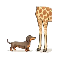 short (height)