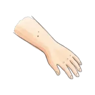 skin