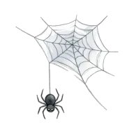 spider