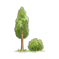 than