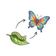 to become