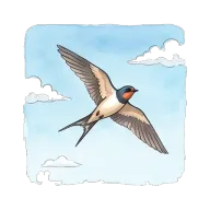 to fly