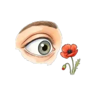to see