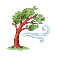 wind
