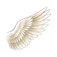 wing